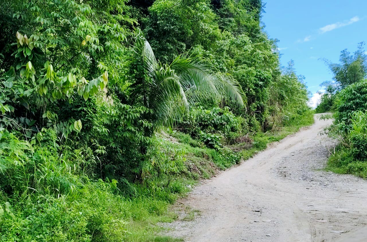 Lokasi Galian C, Bukit Borero Desa Amasing Kota Utara