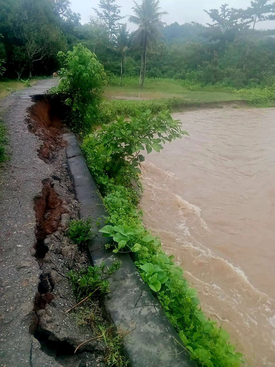 Bangunan Swering dan Jalan Setapak di Amasing Kali Ambruk Akibat Banjir Besar