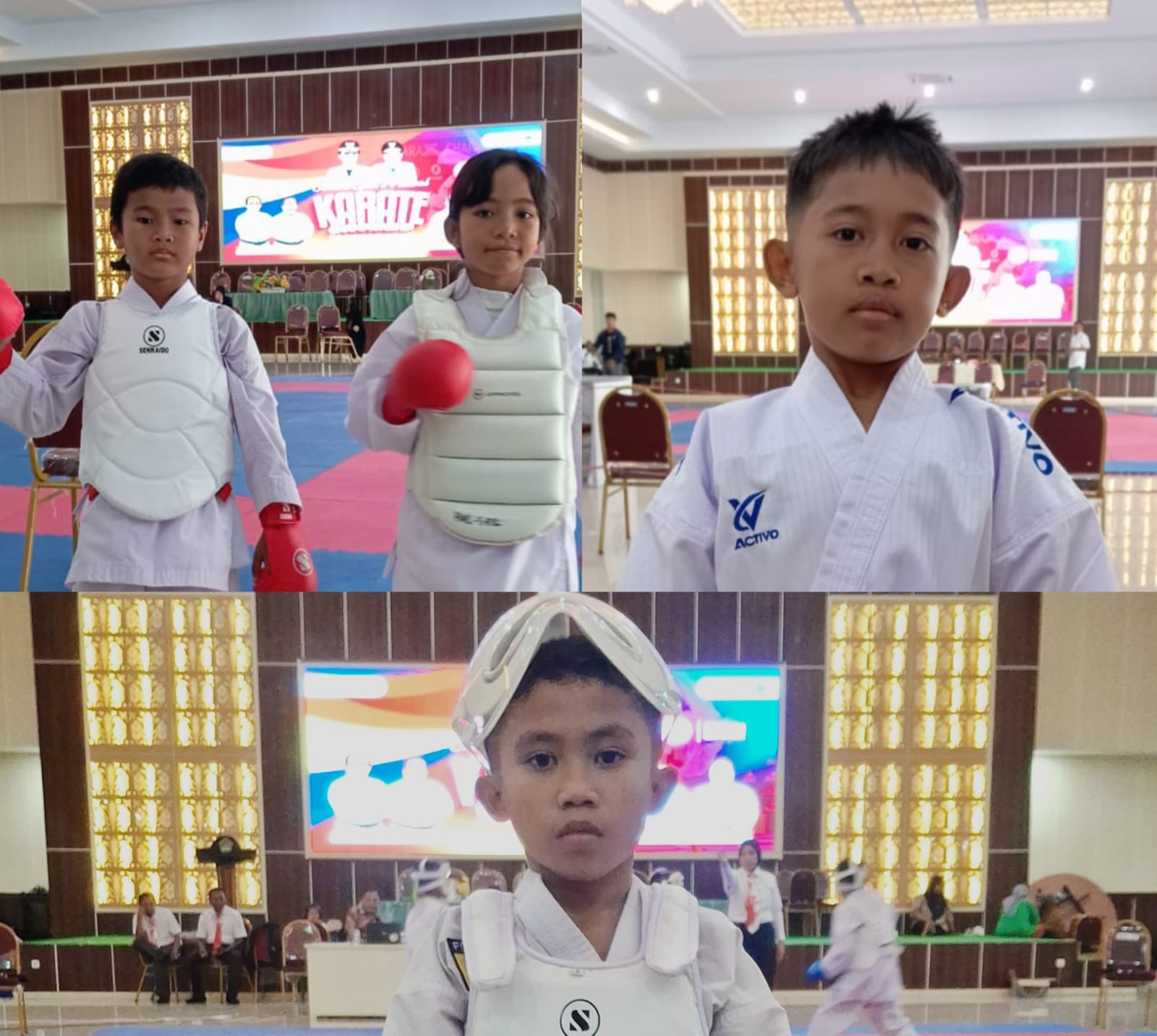 Atlet Karate Halsel