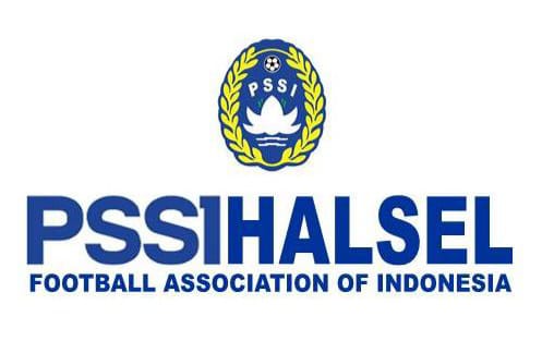 Logo PSSI Halsel