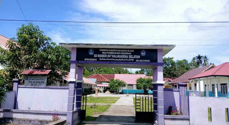 SDN 167 Halsel