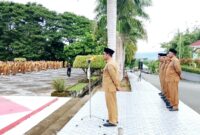 PltSekda Halsel Dr. Abdillah Kamarillah Saat Pimpin Apel Gabungan