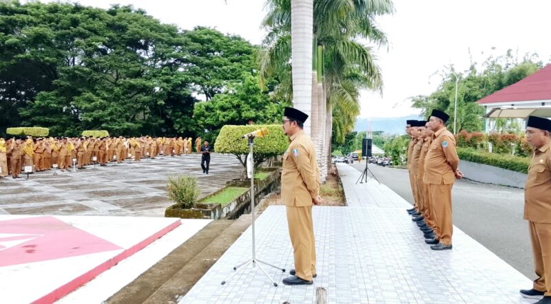 PltSekda Halsel Dr. Abdillah Kamarillah Saat Pimpin Apel Gabungan
