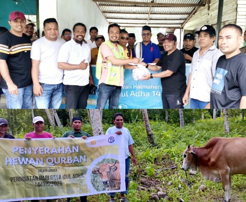 Penyerahan Hewan Kurban di Labuha dan Obi