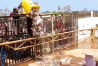 Oknum Warga Membuang Sampah ke Kantor Perusahaan (Dok: Istimewa)