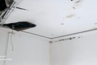 Sarang Burung Walet di Atap Plafon Kantor DPRD Halsel